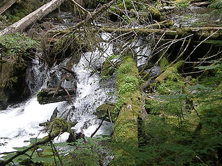 Lower Marmot Pass trail.