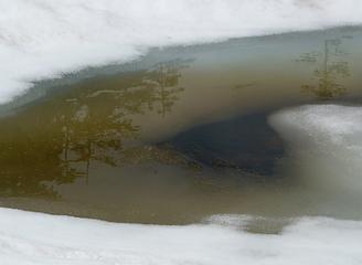 melting snow at Ollalie Meadows