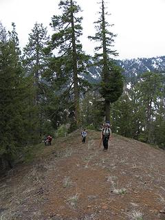 Open slopes low on the ridge (3700 ft)