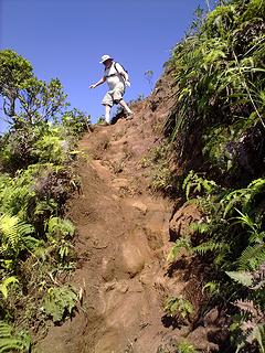 Steep Trail near Mt. Olympus