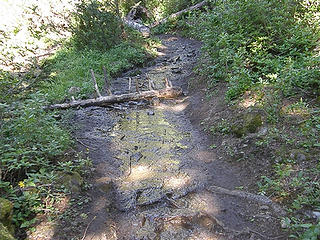 Creek running down Marmot Pass trail.