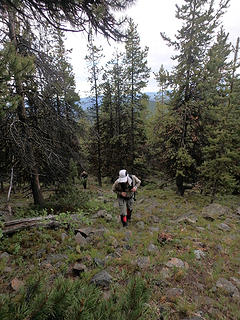 Mike and Paul, heading up...