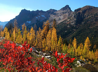 Larches and berry bushes below Porcupine Peak