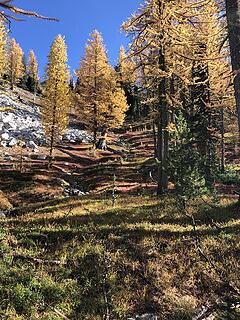 Basin below the Bernice Lake ridge