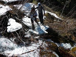 bushwhack/ creek crossing