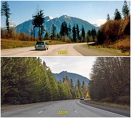 Trees grow fast in Washington. View of Mount Si from the same I-90 curve 29 years apart.