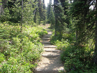 Crystal Lakes trail stairs.