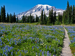 MRNP Reflection lak-Paradise loop 8/25/12