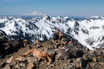 summit nap