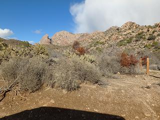 Spirit from the trailhead