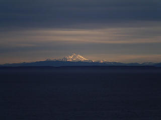 Baker is glowing this morning.