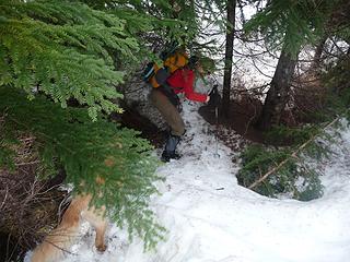 ... shrubs & slide alder