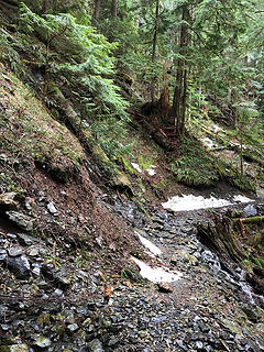 The Sultan River Canyon Trail 3/24/19