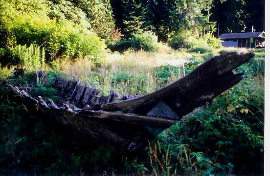 War canoe on Hood Canal