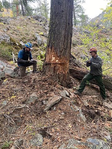 Landon (L) & Colin Starting Facecut