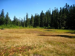 Rich and Sandra walking the meadow