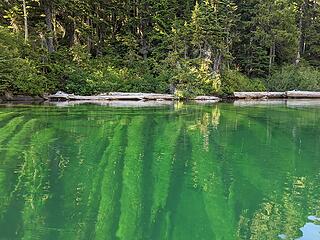 Lots of sunken logs along the shore