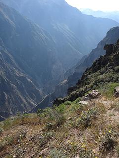 Colca Canyon is actually quite large