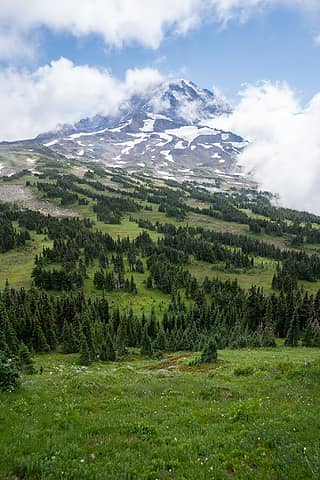 View from Mount Pleasant