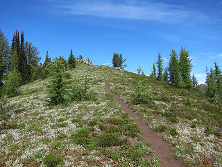 Trail to the summit