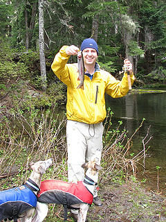 Jeremy and the whippets sure love their fish!