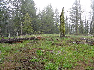 Hiking up White Mtn.