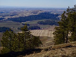 Smoot Hill. This area is being restored to native Palouse Prairie habitat by WSU.