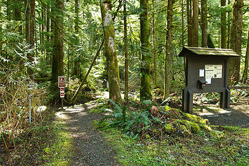 Interpretive Trail by Ranger Station leads to Alki Crest