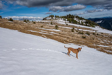 Near the trail junction