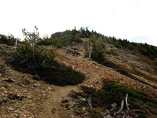 Nelson ridge trail junction