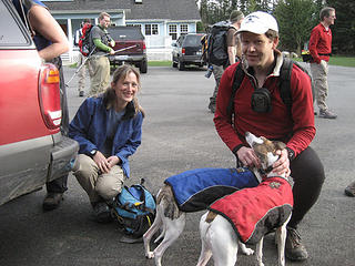 The whippets get attention from "Uncle Steve."