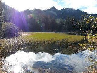 Reflection in Swan Lake