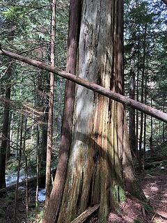 Lake Isabel Trail 4/25/19