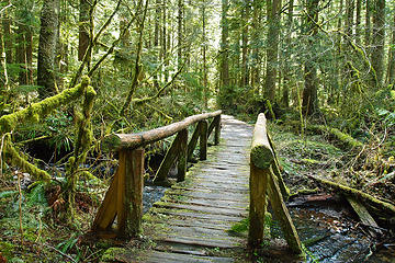 Nice 3/10 of a mile interpretive trail. Great for kids.