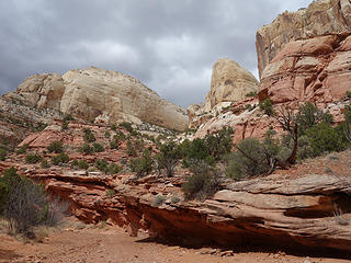 Sheets Gulch; Capitol Reef National Park, UT