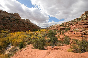 Calf Creek Rec Area