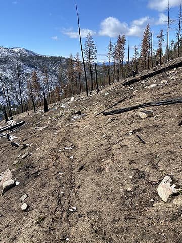 Trail section that re-burned in the 2021 Cub Creek 2 fire