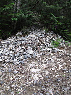 FS Rd 63 to W. Cady Ridge, Quartz Creek, N. Fork Sky trailheads 6/17/16