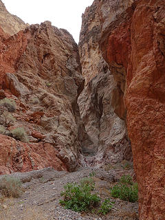 Red Wall Canyon.  Death Valley National Park, CA