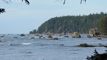 Ozette loop 197