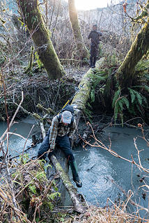 Crossing Moraine Creek on an icy log