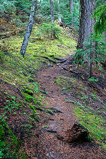 Lower section of trail