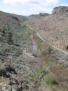 Cowiche creek, trail, and canyon