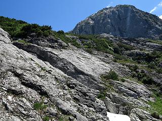 We went up along the edges of the shrubbery on the righthand edge of these slabs