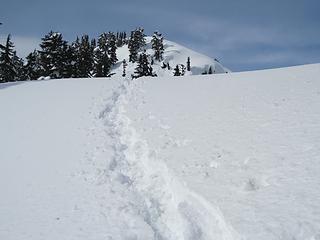 The last bump before the summit