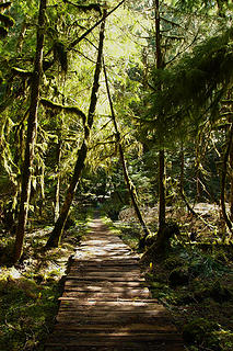 The letter "A" along the interpretive trail