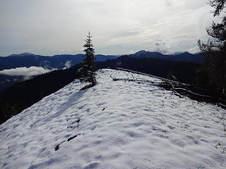 Polallie Ridge highpoint 5560.'