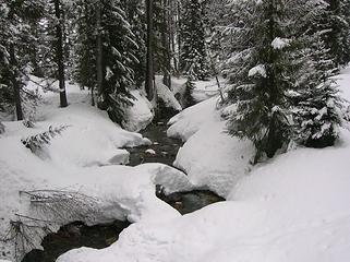 Creek at Trinity