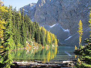 Golden  Larch at Blue Lake